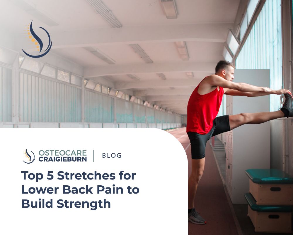 Thoracic Spine Strengthening  Top 5 Thoracic Strengthening Exercises